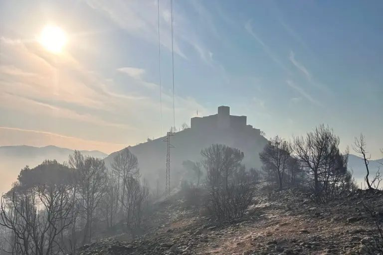 Detingut autor incendi Carme