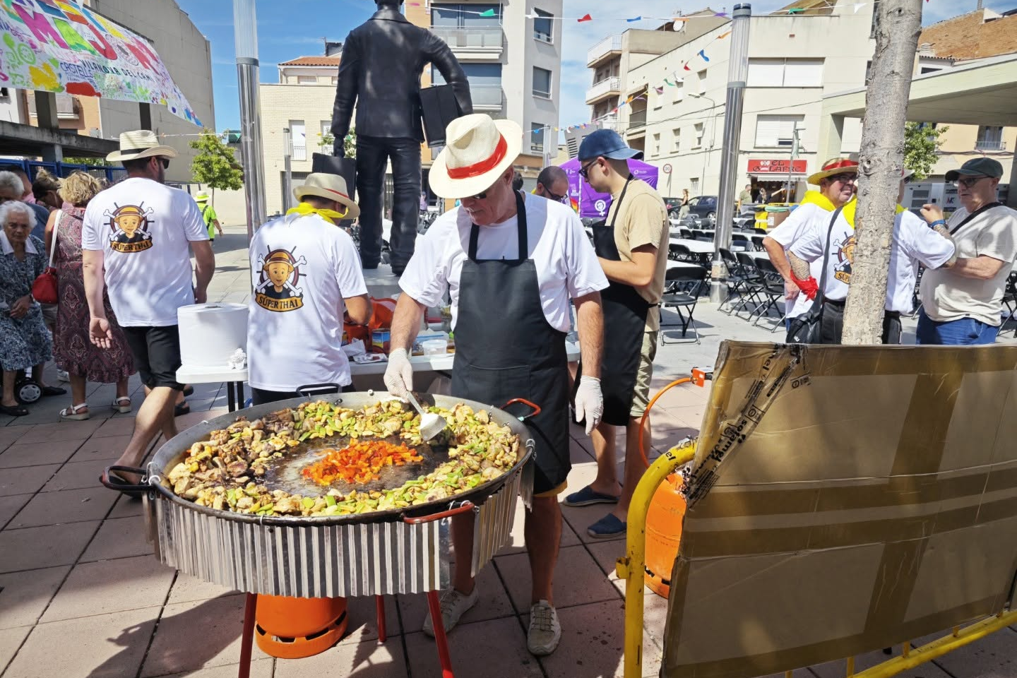 Vilanova del Camí programa